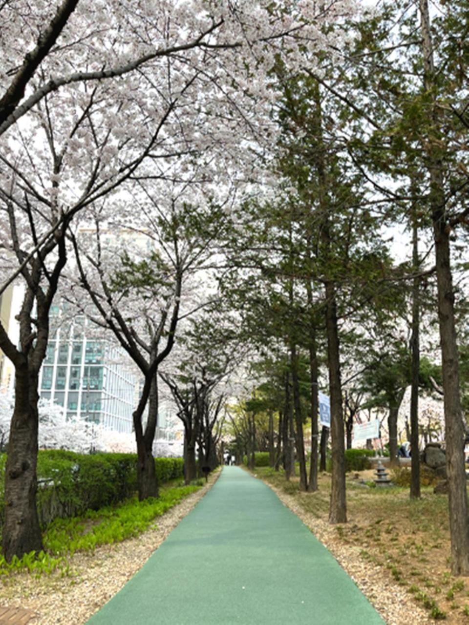 Jeongdam Hotel Seoul Eksteriør billede